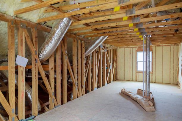 Best Insulation Removal  in Knightstown, IN