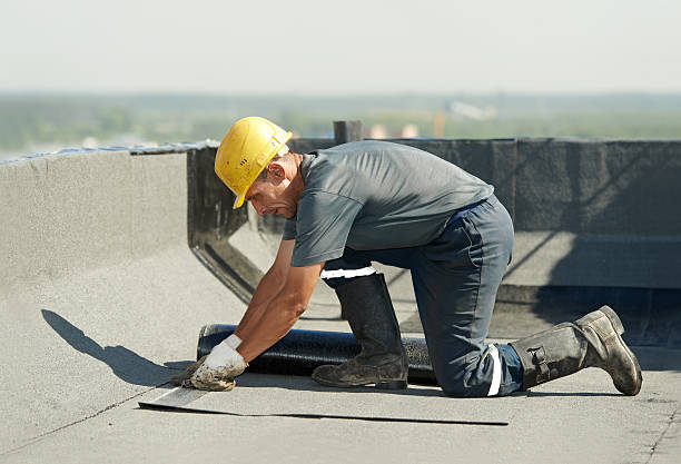 Best Home Insulation Services  in Knightstown, IN
